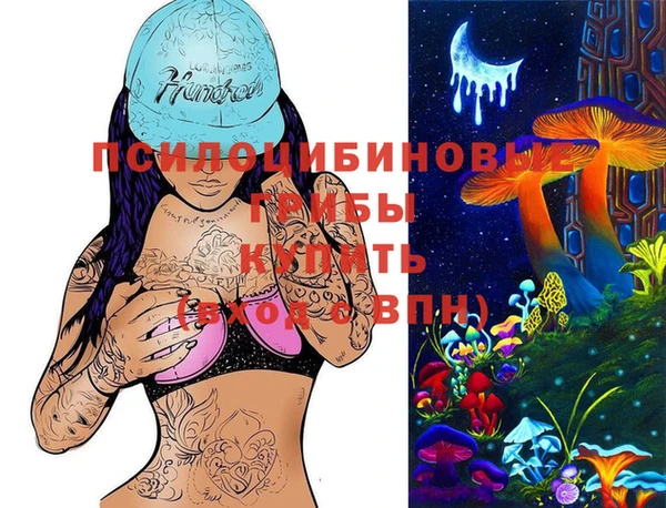 крисы Нефтегорск