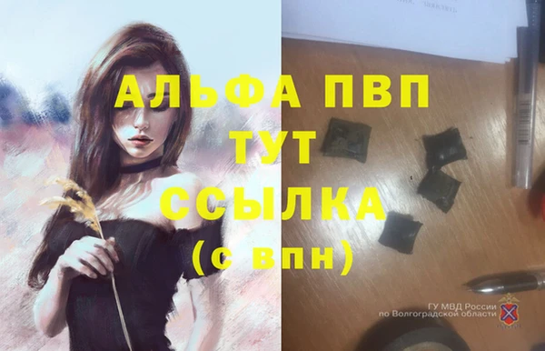 стаф Нефтекумск