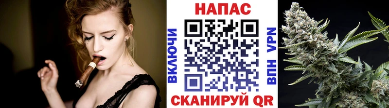 Конопля марихуана  Полярный 